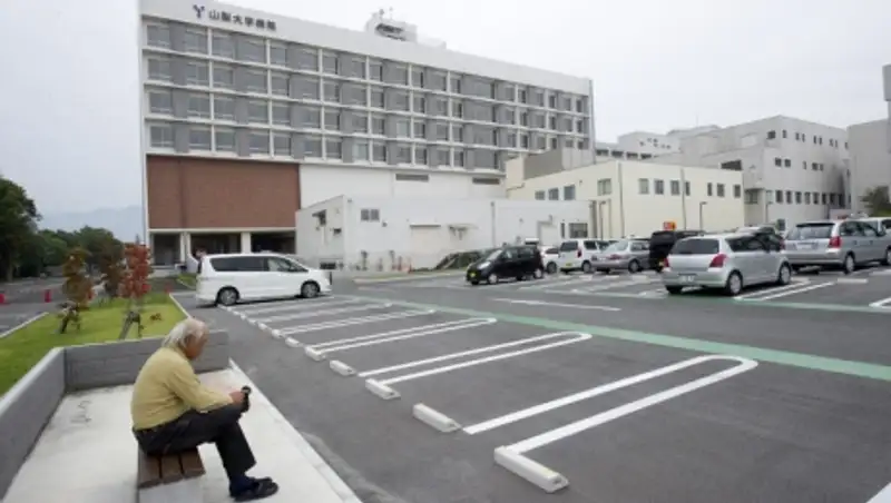 Японские исследователи вырастили мини-печень человека, которую можно пересаживать пациентам