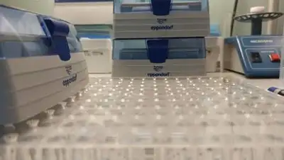 Деловой Казахстан, фото - Новости Zakon.kz от 05.03.2021 16:05