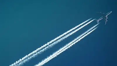 © Pexels / Juhasz Imre, фото - Новости Zakon.kz от 11.05.2019 10:06