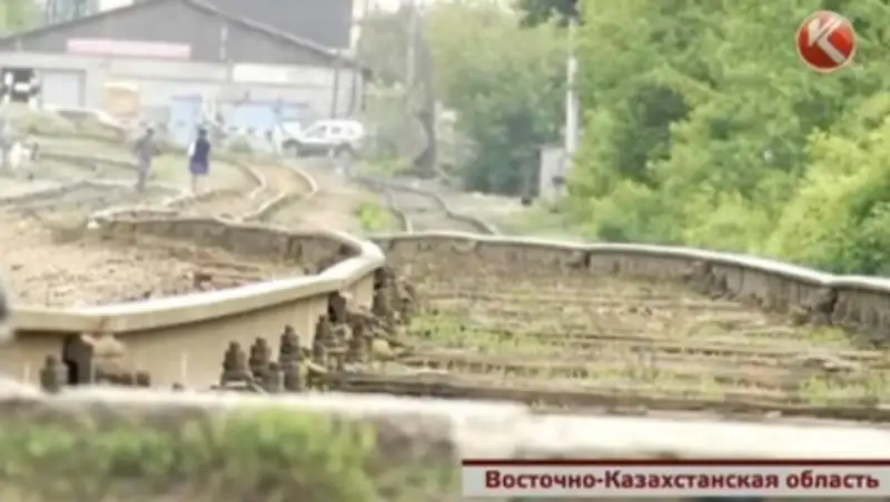 Семейские железнодорожники терпят убытки из-за баранов