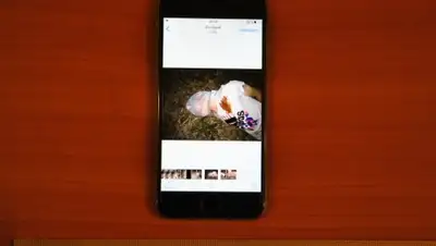 Zakon.kz, фото - Новости Zakon.kz от 21.04.2016 17:38