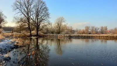 полиция, расследование, , фото - Новости Zakon.kz от 02.12.2021 13:59