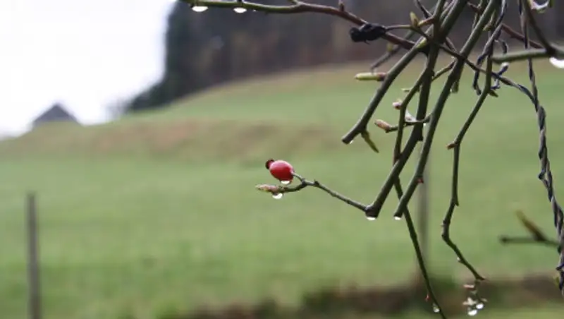 На юге Казахстана продолжится выпадение осадков
