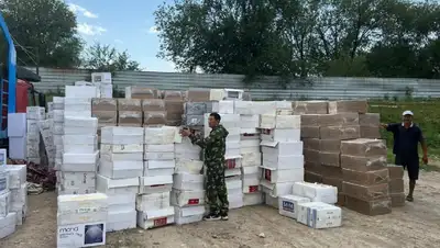 выявили контрабандные сигареты в Алматинской области, фото - Новости Zakon.kz от 20.07.2022 09:22