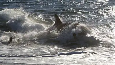 Zakon.kz, фото - Новости Zakon.kz от 03.09.2016 01:39