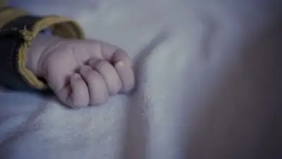 Открытые источники, фото - Новости Zakon.kz от 05.12.2018 23:45