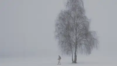 pixabay, фото - Новости Zakon.kz от 20.02.2020 06:06