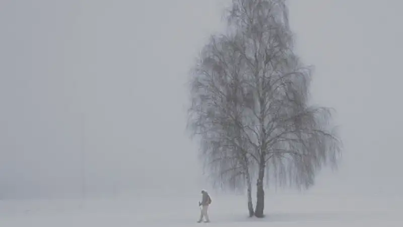 20 февраля по республике ожидаются туман, усиление ветра и метель