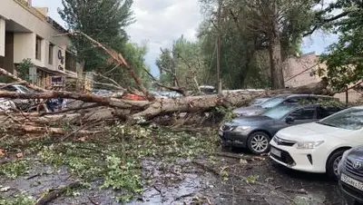Пресс-служба ДЧС Алматы, фото - Новости Zakon.kz от 13.08.2021 23:17