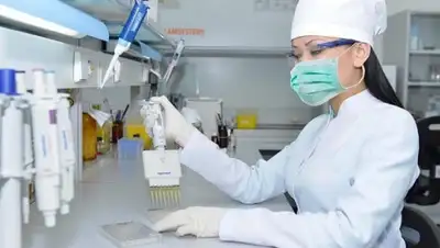 zakon.kz., фото - Новости Zakon.kz от 25.07.2020 15:05