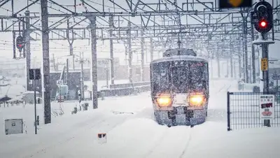 снег, фото - Новости Zakon.kz от 10.02.2022 07:04