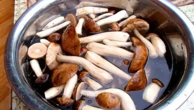 Zakon.kz, фото - Новости Zakon.kz от 25.03.2017 22:04