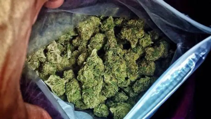 Почти 4 кг марихуаны обеспечили ее владельцу 10 лет тюрьмы