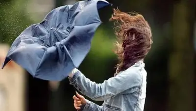 today.kz, фото - Новости Zakon.kz от 29.03.2018 15:16