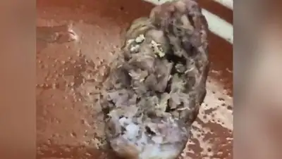 скриншот с видео, фото - Новости Zakon.kz от 17.08.2018 23:02