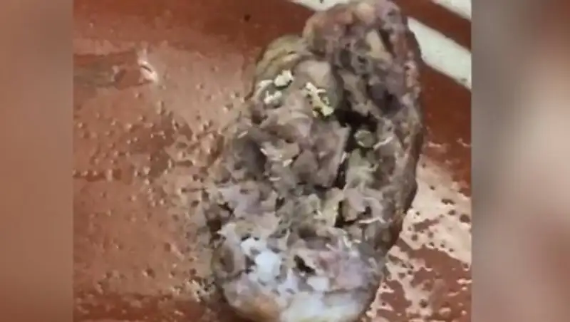Люля-кебаб с червями: жительнице Актау не повезло с едой