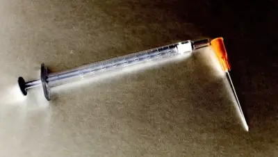 pixabay.com, фото - Новости Zakon.kz от 06.09.2019 20:30