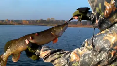 Zakon.kz, фото - Новости Zakon.kz от 09.09.2015 22:11