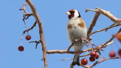 АСБК, фото - Новости Zakon.kz от 16.01.2019 12:14
