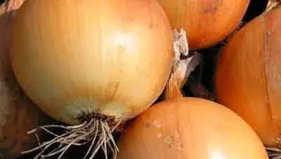 Zakon.kz, фото - Новости Zakon.kz от 21.11.2013 18:33