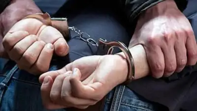 WhiteNews, фото - Новости Zakon.kz от 13.06.2019 16:50