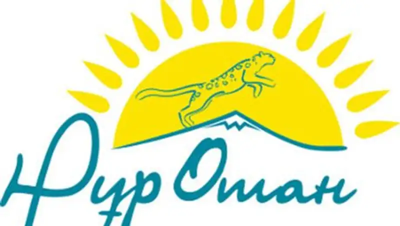 «Нур Отан»: постоянную работу в Казахстане имеют лишь 20% инвалидов