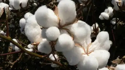 Zakon.kz, фото - Новости Zakon.kz от 17.11.2015 23:17