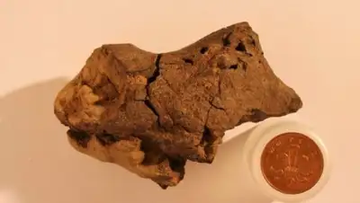 Zakon.kz, фото - Новости Zakon.kz от 28.10.2016 17:43