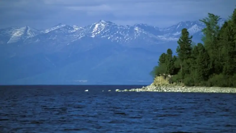 Ученые: Байкал превращается в болото