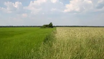 Zakon.kz, фото - Новости Zakon.kz от 10.10.2014 18:24