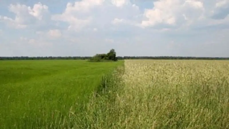 В Жамбылской области в госфонд возвращено 457 тыс га неиспользуемых сельхозугодий