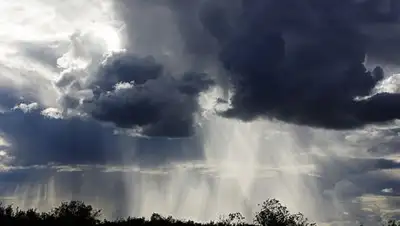 ladyelena.ru, фото - Новости Zakon.kz от 30.05.2018 09:39