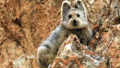 Zakon.kz, фото - Новости Zakon.kz от 25.03.2015 22:46