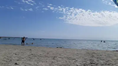 lada.kz, фото - Новости Zakon.kz от 27.07.2020 09:10