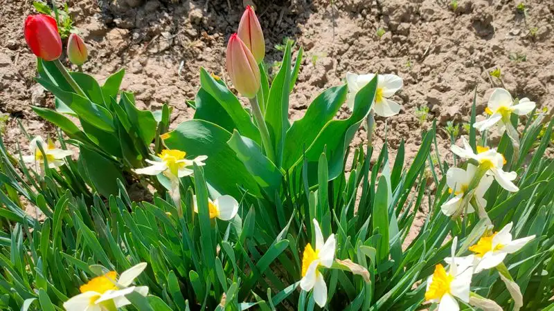 Какой будет погода в начале апреля в Астане, Алматы и Шымкенте