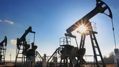 zakon.kz., фото - Новости Zakon.kz от 10.04.2020 07:58