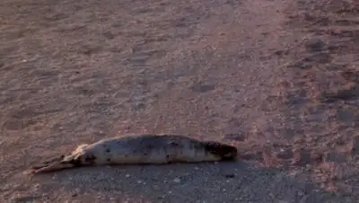 Zakon.kz, фото - Новости Zakon.kz от 18.04.2017 18:36