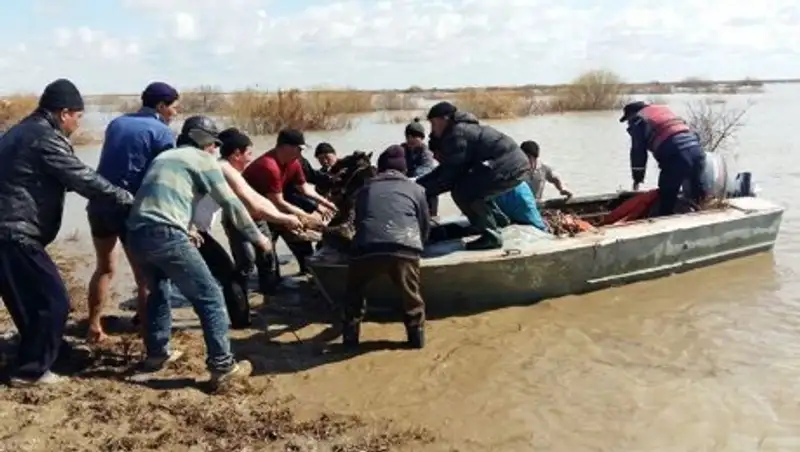В Кызылординской области Сырдарья вышла из берегов