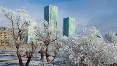 Zakon.kz, фото - Новости Zakon.kz от 28.12.2016 22:41