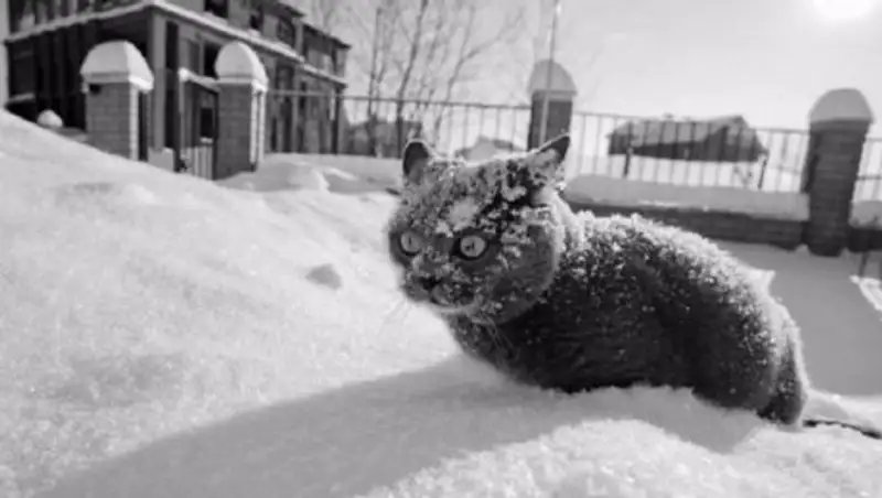 В Казахстане прогнозируют сильные снегопады и резкое похолодание