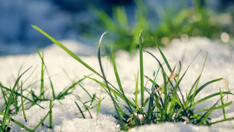 Теплая погода ожидается в ближашие дни в Казахстане