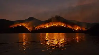 Генпрокуратура: Лесные пожары в Казахстане нанесли ущерб на 30 млрд тенге, фото - Новости Zakon.kz от 28.09.2023 16:17