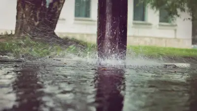 pixabay.com, фото - Новости Zakon.kz от 22.07.2020 11:50