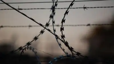 kamchatka.aif.ru, фото - Новости Zakon.kz от 27.07.2018 11:49