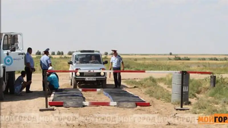 В Жангалинском районе ЗКО овцы гибнут от оспы - объявлен карантин