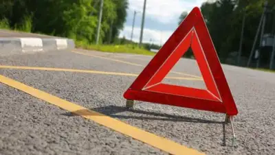 IPnews, фото - Новости Zakon.kz от 26.09.2018 11:53