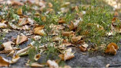 прогноз погоды на 2-4 августа в Казахстане , фото - Новости Zakon.kz от 01.08.2022 11:59