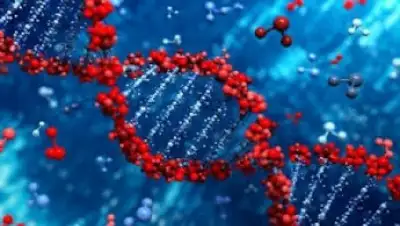 Фото: соцсети , фото - Новости Zakon.kz от 24.01.2018 11:19