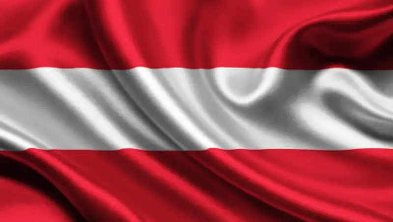 В Австрии будут новые выборы в парламент из-за отставки вице-канцлера