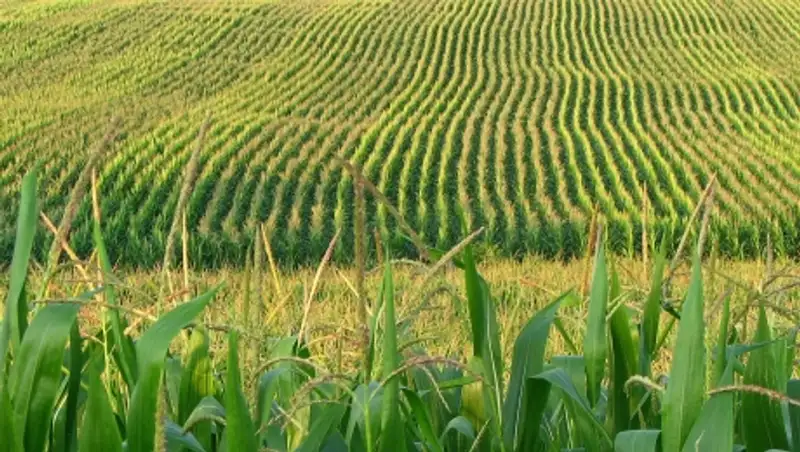 Гражданин США признался в индустриальном шпионаже в пользу Китая